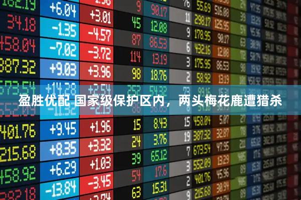 盈胜优配 国家级保护区内，两头梅花鹿遭猎杀