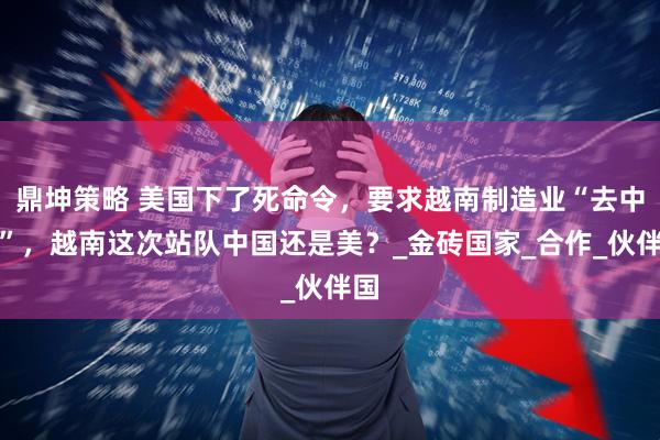 鼎坤策略 美国下了死命令，要求越南制造业“去中化”，越南这次站队中国还是美？_金砖国家_合作_伙伴国