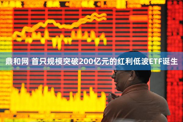 鼎和网 首只规模突破200亿元的红利低波ETF诞生