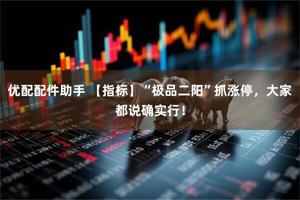 优配配件助手 【指标】“极品二阳”抓涨停，大家都说确实行！